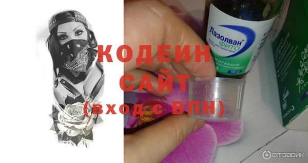 прущие грибы Вяземский