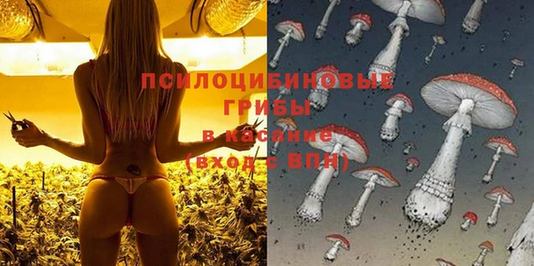 spice Абдулино