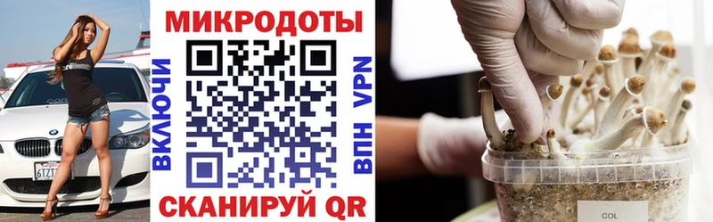Галлюциногенные грибы мицелий  Курск 