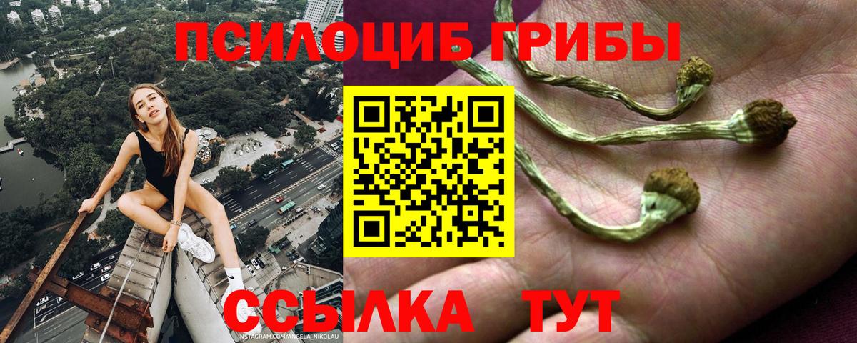 Псилоцибиновые грибы Magic Shrooms  Вход с VPN  Курск 